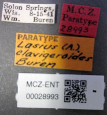 Media type: image;   Entomology 28993 Aspect: labels
